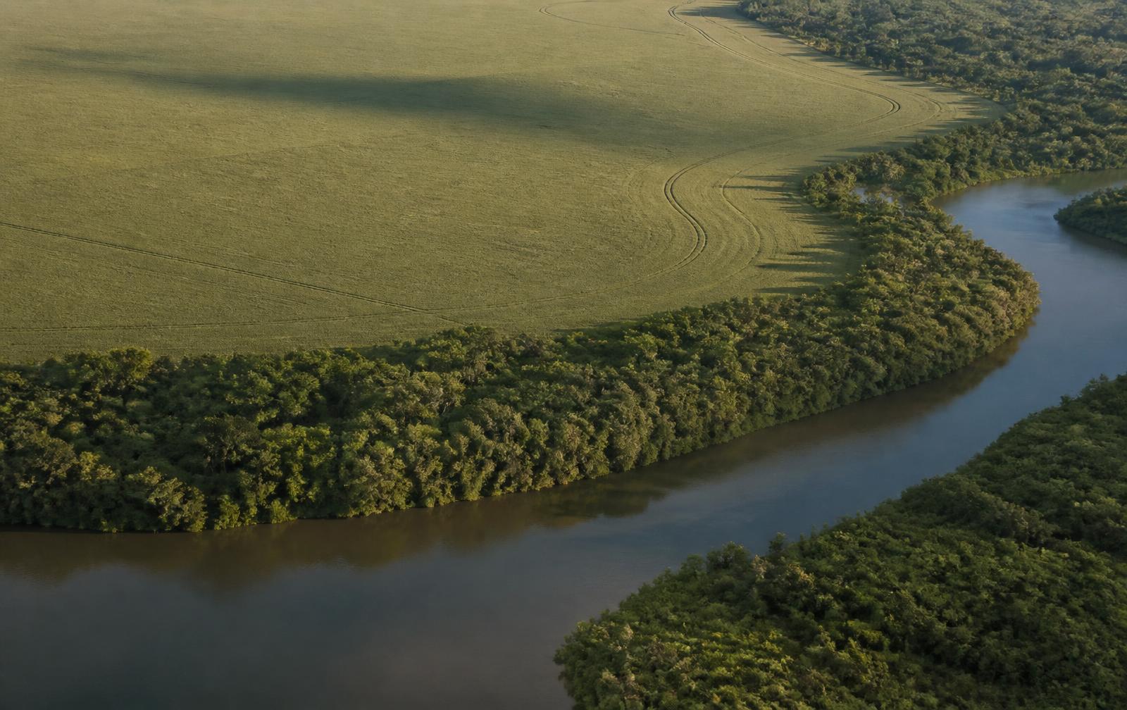 Vista aérea de território agrícola brasileiro com mata ciliar e curso d'água